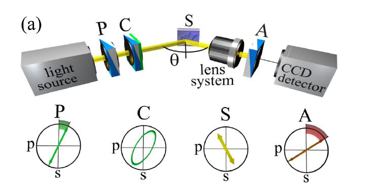 lpe1